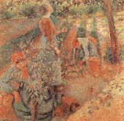 Camille Pissarro Apple picking oil on canvas